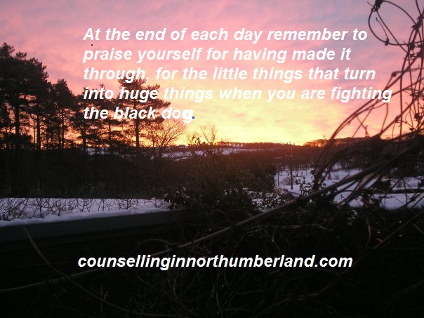 19579_1184535135014_7757681_n-1